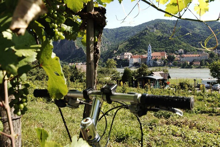 Rad & Wein / Bike & Wine (c) Donau Niederösterreich/Steve Haider