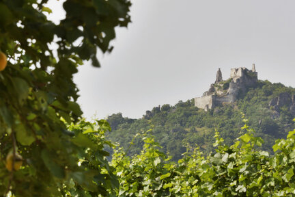 Ruine Dürnstein