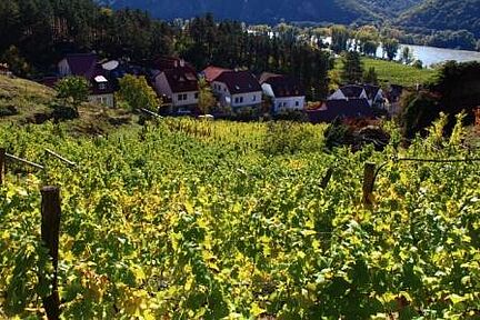 Weinbau & Ferienwohnungen Pölz