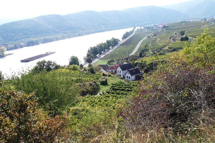 Blick vom Welterbesteig auf die Donau / View from the World Heritage Trail on the Danube (c) Donau Niederösterreich