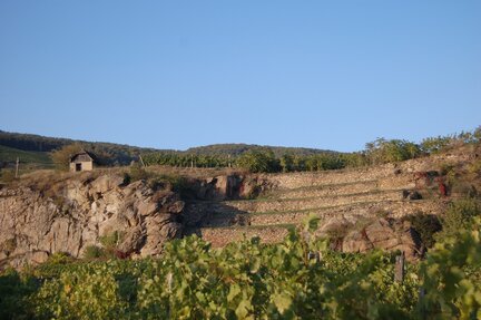 Wein.Lounge.Vinothek