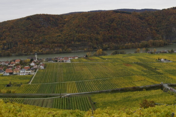 Blick auf Ober- und Unterloiben / View on Ober- and Unterloiben (c) Glatzenberger