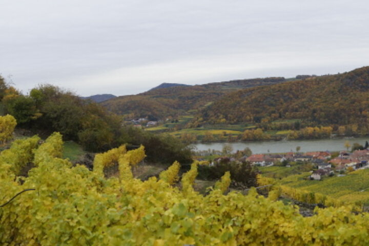 Blick auf Loiben im Herbst / View on Loiben in autumn (c) Glatzenberger