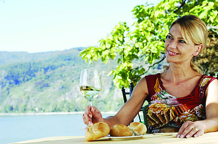 The Danuberegion Wachau-Nibelungengau-Kremstal